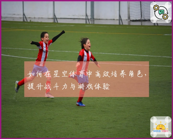 如何在星空体育中高效培养角色，提升战斗力与游戏体验