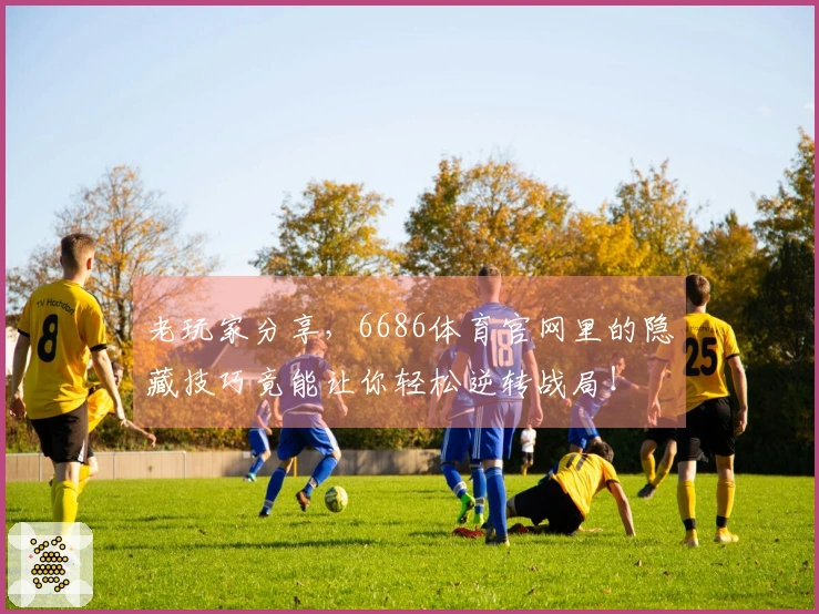 老玩家分享，6686体育官网里的隐藏技巧竟能让你轻松逆转战局！