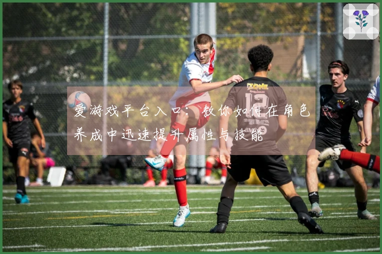 爱游戏平台入口：教你如何在角色养成中迅速提升属性与技能