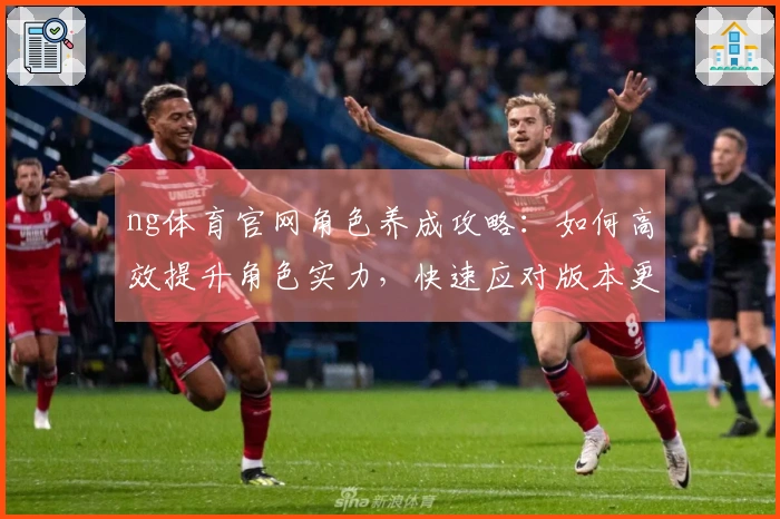 ng体育官网角色养成攻略：如何高效提升角色实力，快速应对版本更新挑战