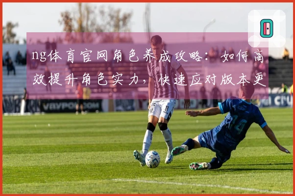 ng体育官网角色养成攻略：如何高效提升角色实力，快速应对版本更新挑战